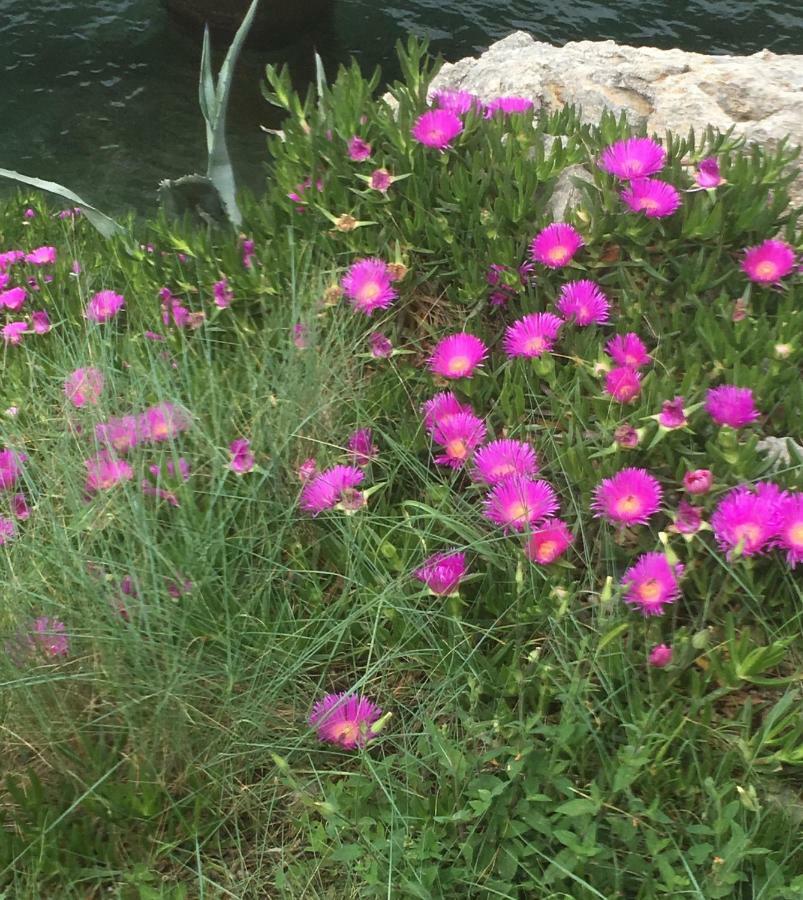 Guesthouse Antonija Veli Lošinj المظهر الخارجي الصورة